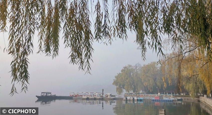 沪江开心词场